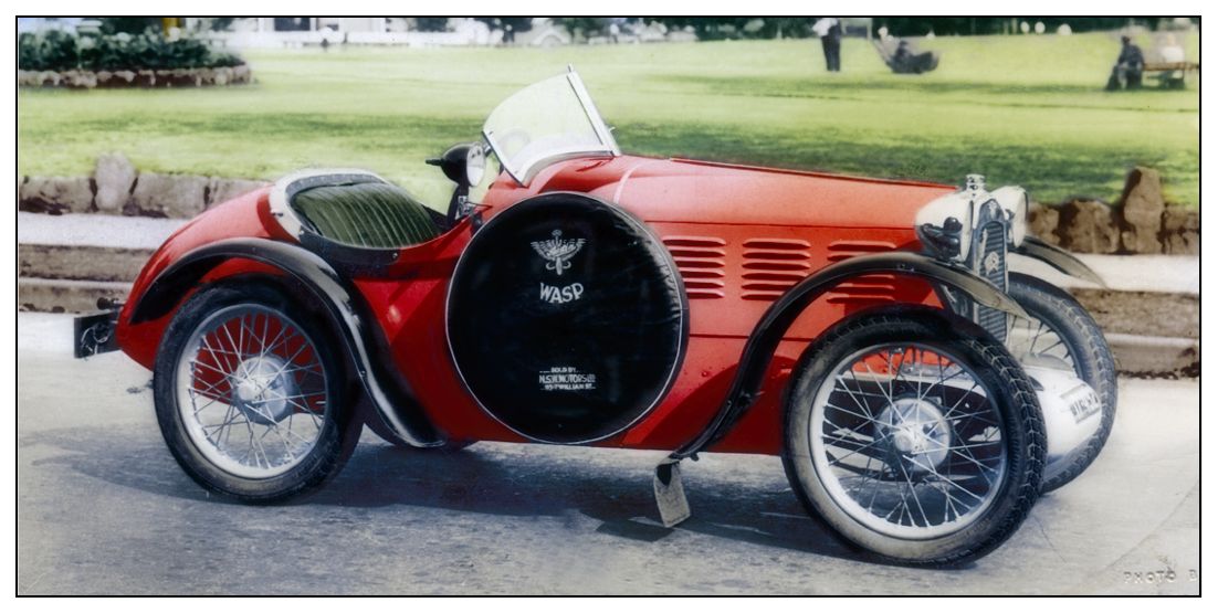 Wasp Colour 01 Wasp Colour 01